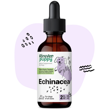 Echinacea Drops for Dogs - 2 fl.oz. Bottle