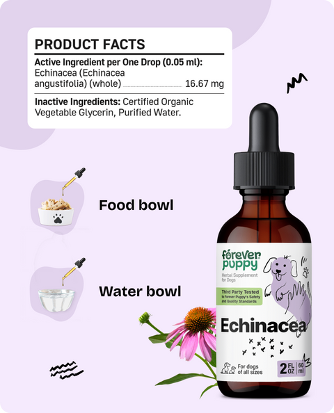 Echinacea Drops for Dogs - 2 fl.oz. Bottle
