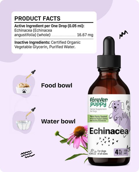 Echinacea Drops for Dogs - 4 fl.oz. Bottle