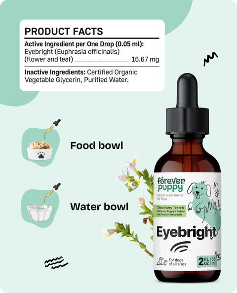 Eyebright Drops for Dogs - 2 fl.oz. Bottle