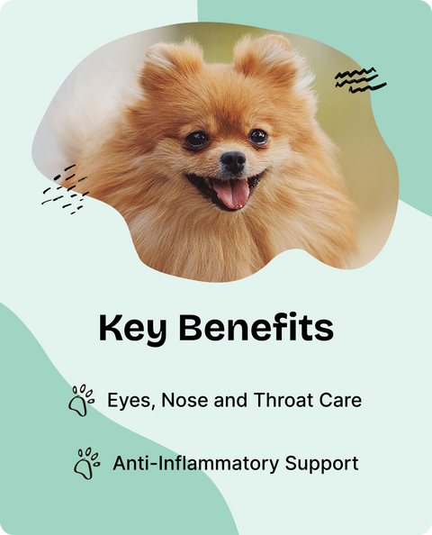 Eyebright Drops for Dogs - 4 fl.oz. Bottle