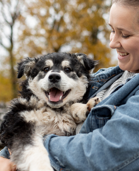 Lung Support Drops for Dogs - 2 fl.oz. Bottle