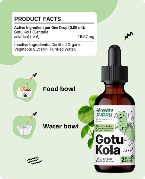 Gotu Kola Drops for Dogs - 2 fl.oz. Bottle