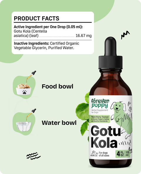 Gotu Kola Drops for Dogs - 4 fl.oz. Bottle