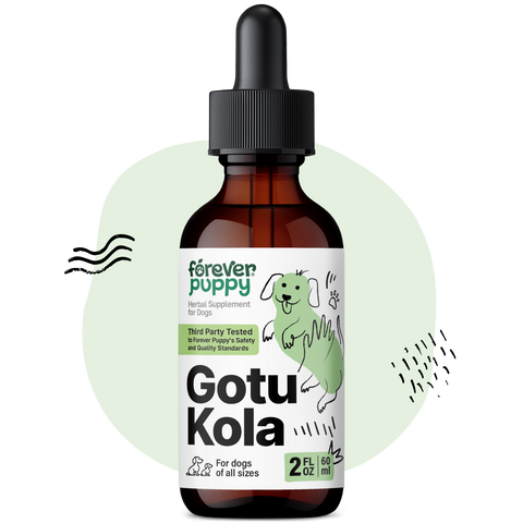 Gotu Kola Drops for Dogs - 2 fl.oz. Bottle