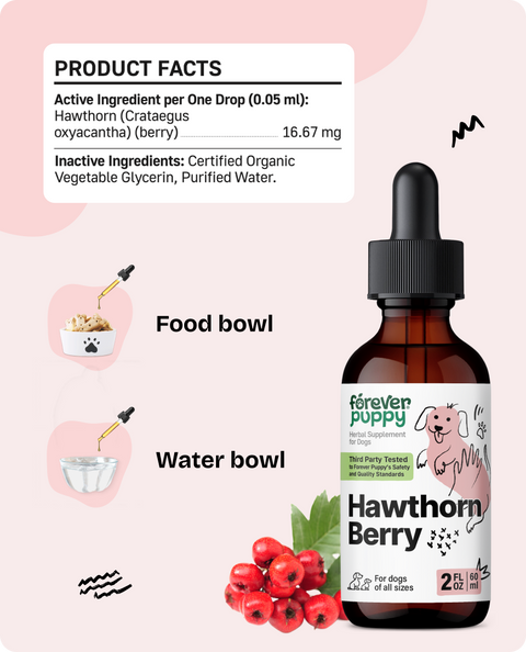 Hawthorn Berry Drops for Dogs - 2 fl.oz. Bottle