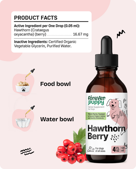 Hawthorn Berry Drops for Dogs - 4 fl.oz. Bottle