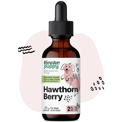 Hawthorn Berry Drops for Dogs - 2 fl.oz. Bottle
