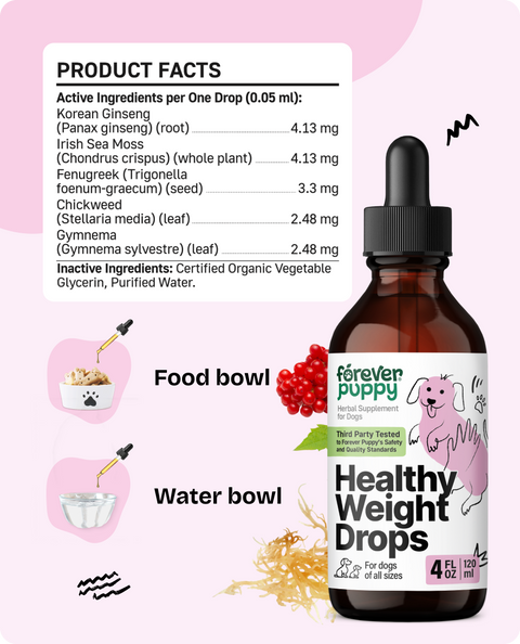 Healthy Weight Drops for Dogs - 4 fl.oz. Bottle
