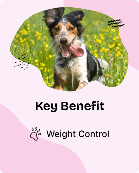 Healthy Weight Drops for Dogs - 2 fl.oz. Bottle
