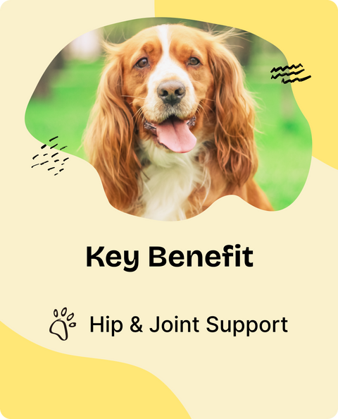 Hip & Joint Drops for Dogs - 4 fl.oz. Bottle