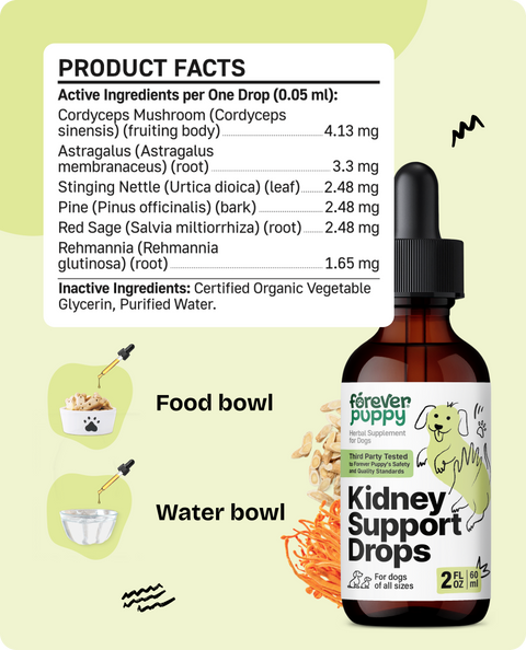 Kidney Support Drops for Dogs - 2 fl.oz. Bottle