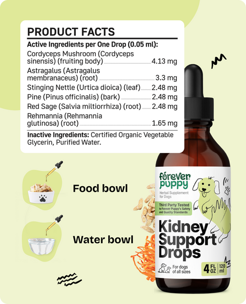 Kidney Support Drops for Dogs - 4 fl.oz. Bottle