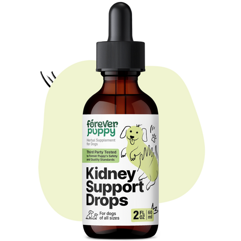 Kidney Support Drops for Dogs - 2 fl.oz. Bottle