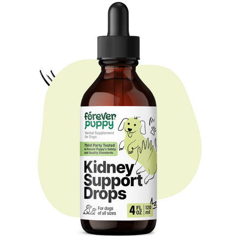 Kidney Support Drops for Dogs - 4 fl.oz. Bottle