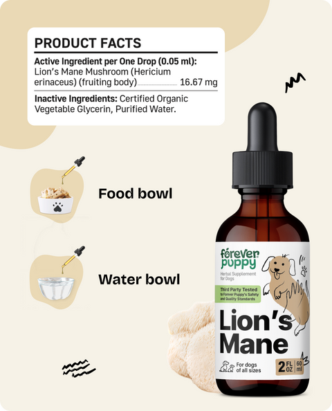 Lion’s Mane Drops for Dogs - 2 fl.oz. Bottle