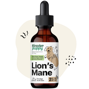 Lion’s Mane Drops for Dogs - 2 fl.oz. Bottle