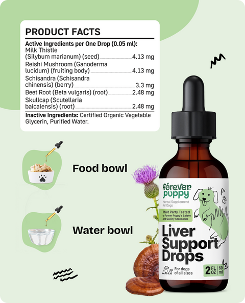 Liver Support Drops for Dogs - 2 fl.oz. Bottle