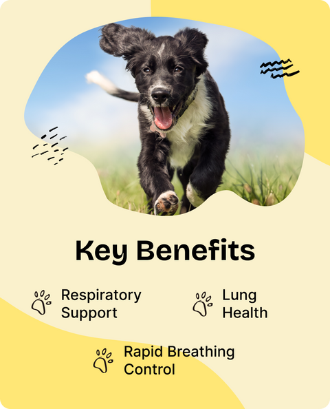 Lung Support Drops for Dogs - 2 fl.oz. Bottle