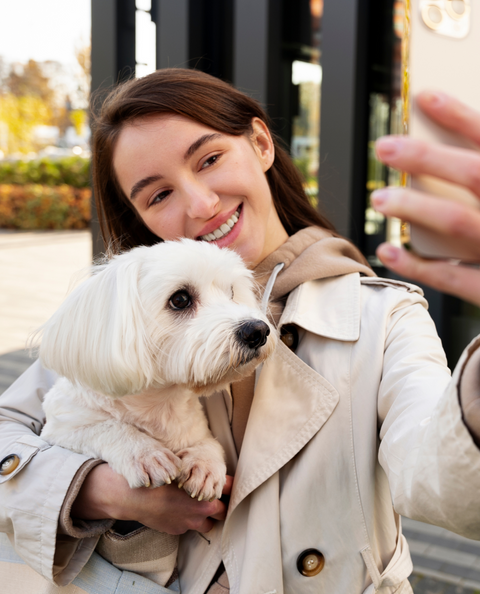 Kidney Support Drops for Dogs - 4 fl.oz. Bottle