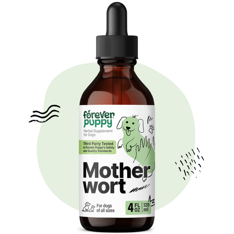 Motherwort Drops for Dogs - 4 fl.oz. Bottle
