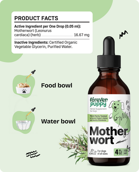 Motherwort Drops for Dogs - 4 fl.oz. Bottle