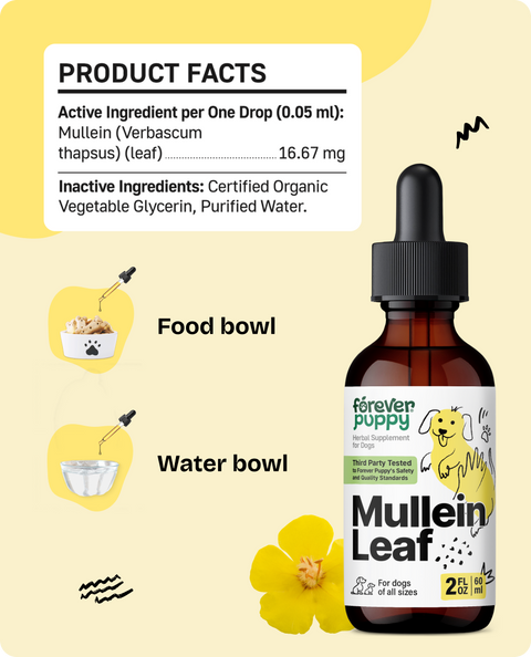 Mullein Leaf Drops for Dogs - 2 fl.oz. Bottle