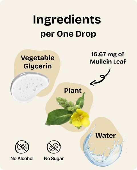 Mullein Leaf Drops for Dogs - 4 fl.oz. Bottle