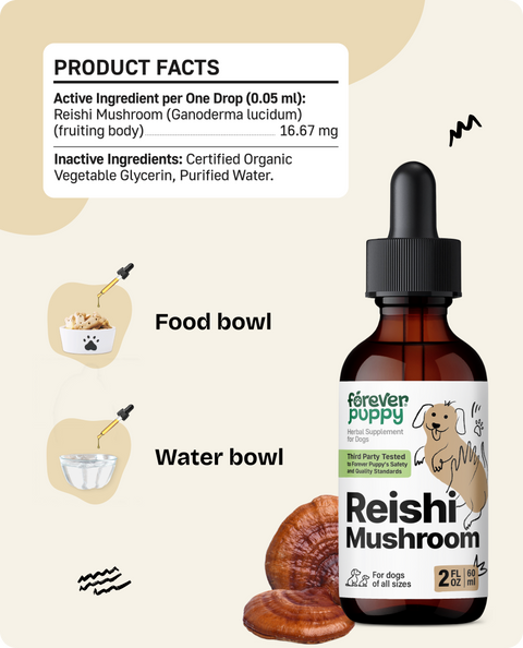 Reishi Mushroom Drops for Dogs - 2 fl.oz. Bottle