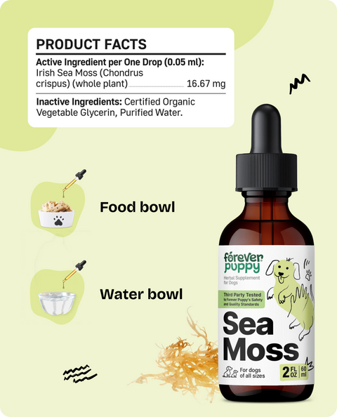 Sea Moss Drops for Dogs - 2 fl.oz. Bottle