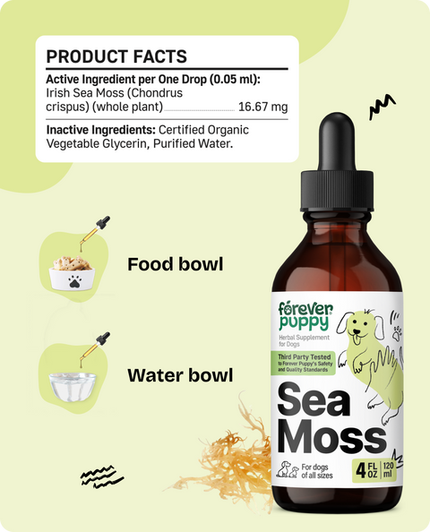 Sea Moss Drops for Dogs - 4 fl.oz. Bottle
