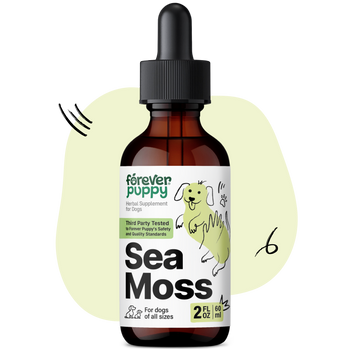 Sea Moss Drops for Dogs - 2 fl.oz. Bottle
