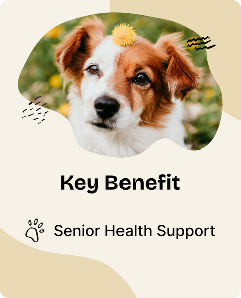 Senior Drops for Dogs - 2 fl.oz. Bottle