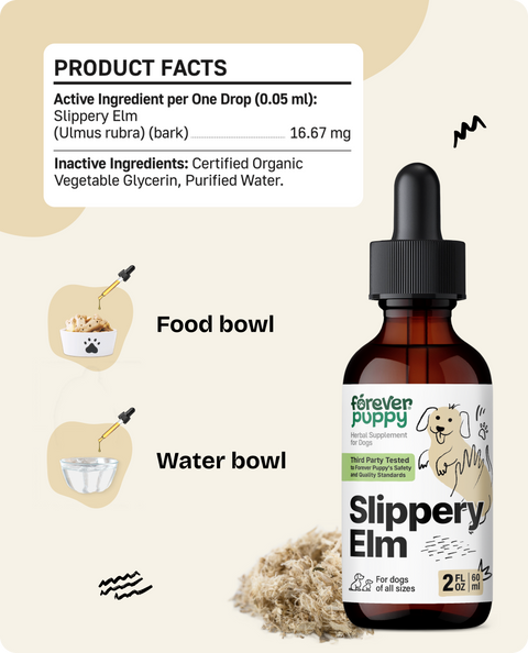 Slippery Elm Drops for Dogs - 2 fl.oz. Bottle