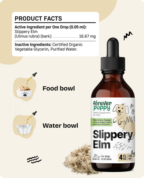 Slippery Elm Drops for Dogs - 4 fl.oz. Bottle