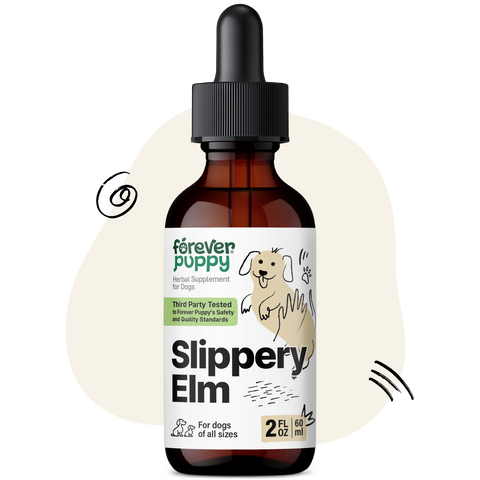 Slippery Elm Drops for Dogs - 2 fl.oz. Bottle