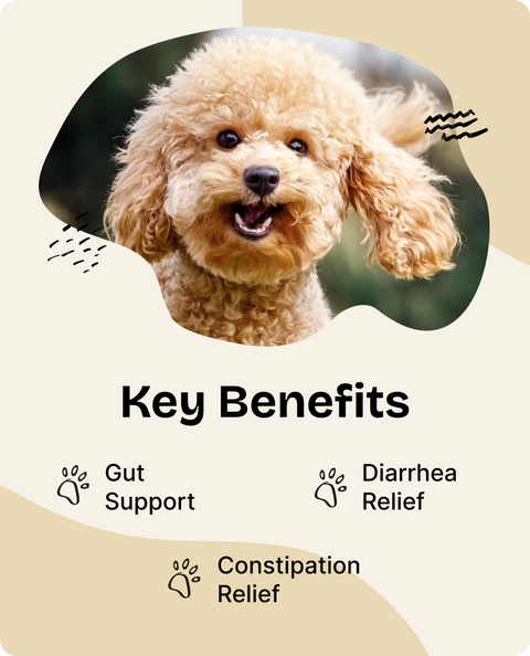 Slippery Elm Drops for Dogs - 4 fl.oz. Bottle