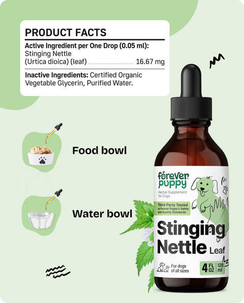 Stinging Nettle Leaf Drops for Dogs - 4 fl.oz. Bottle