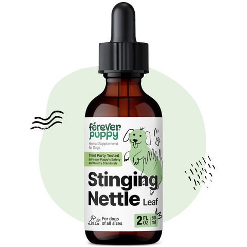 Stinging Nettle Leaf Drops for Dogs - 2 fl.oz. Bottle