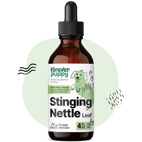 Stinging Nettle Leaf Drops for Dogs - 4 fl.oz. Bottle