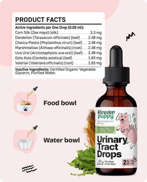 Urinary Tract Drops for Dogs - 2 fl.oz. Bottle