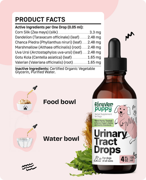Urinary Tract Drops for Dogs - 4 fl.oz. Bottle