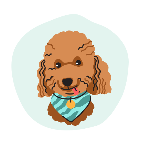 Poodle