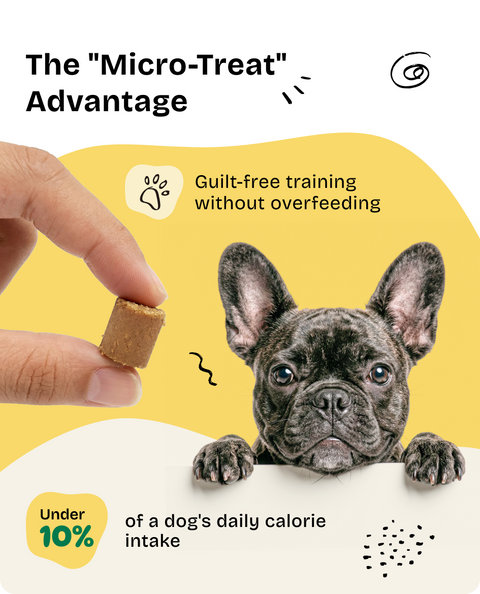 Dog Treats for Training & Fun - 90 g