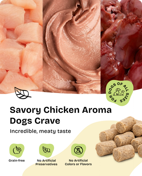 Dog Treats for Training & Fun - 90 g