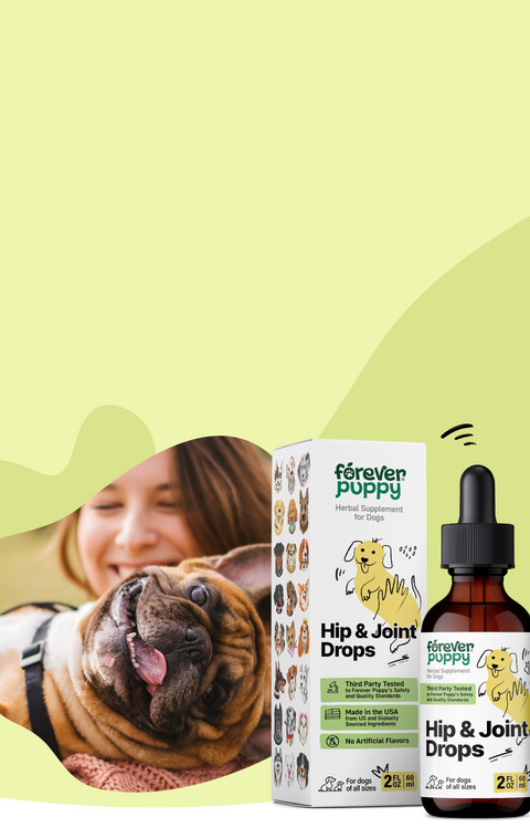 Natural Supplements for Dogs. Organic Tinctures Forever Puppy