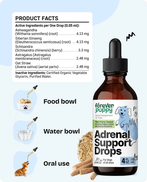 Adrenal Support Drops for Dogs - 4 fl.oz. Bottle