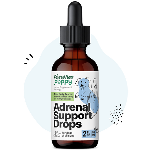 Adrenal Support Drops for Dogs - 2 fl.oz. Bottle