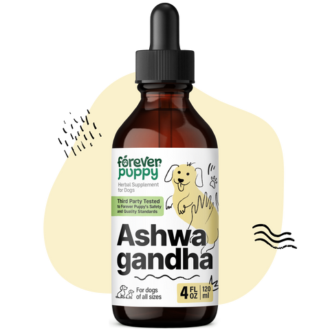 Ashwagandha Drops for Dogs - 4 fl.oz. Bottle