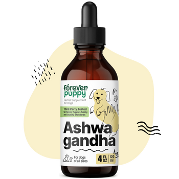 Ashwagandha Drops for Dogs - 4 fl.oz. Bottle